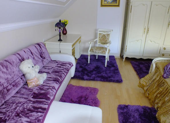 Dom Tulipan Villa Krynica Zdroj Oda fotoğraf
